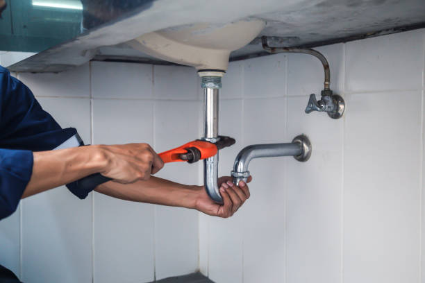 Best Toilet Repair Services  in Lexington, MI