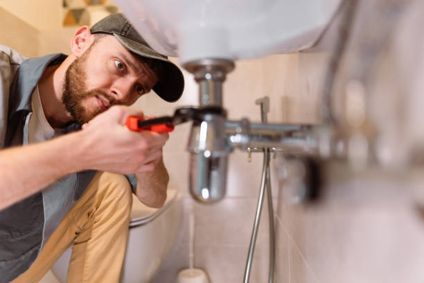 Best Affordable Plumbing Services  in Lexington, MI